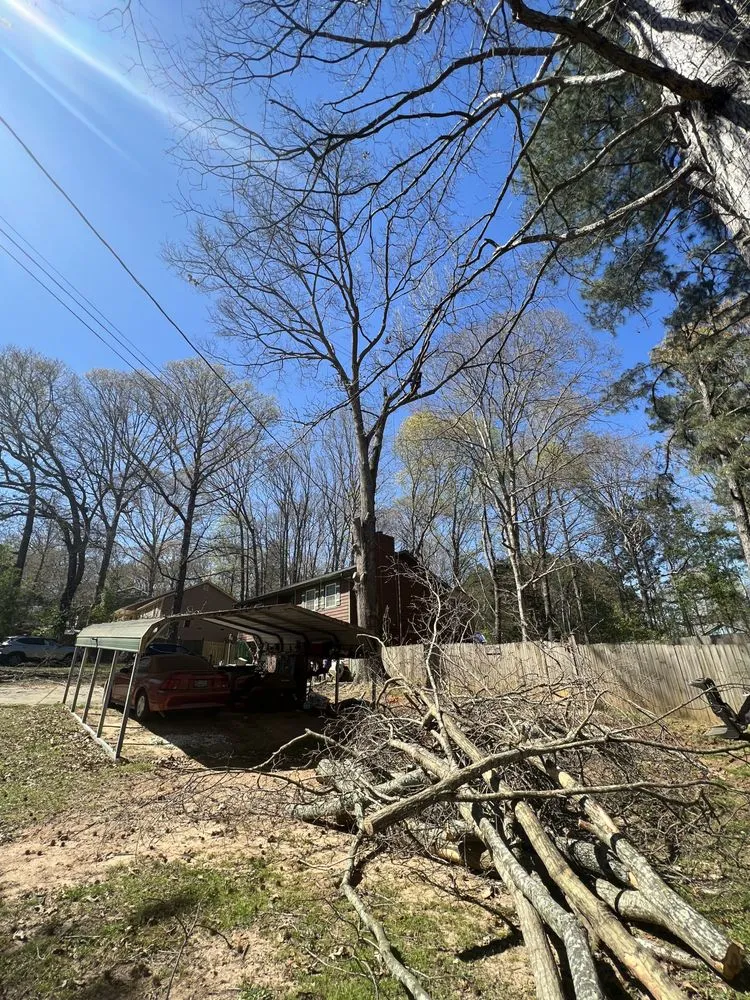 Local landscape design for beautiful yards across Stockbridge, GA - Encinos Tree and Landscape
