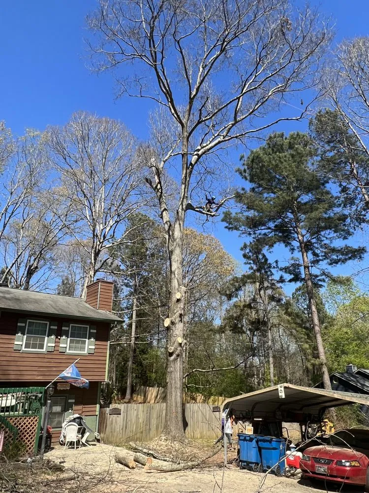 Expert residential landscaping for outdoor upgrades in Stockbridge, GA by Encinos Tree and Landscape