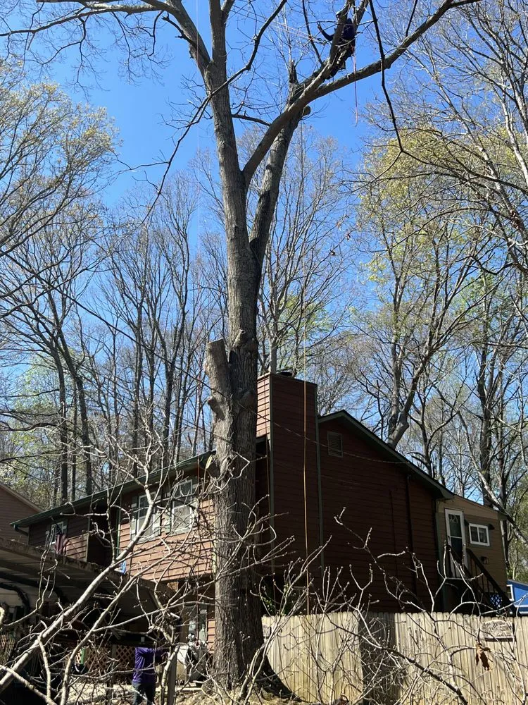 Professional landscape design experts serving Stockbridge, GA - Encinos Tree and Landscape