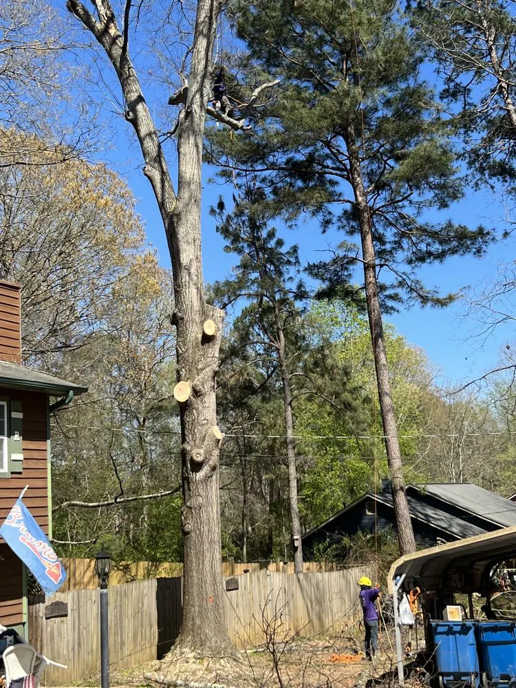 Affordable landscape design experts serving Stockbridge, GA - Encinos Tree and Landscape