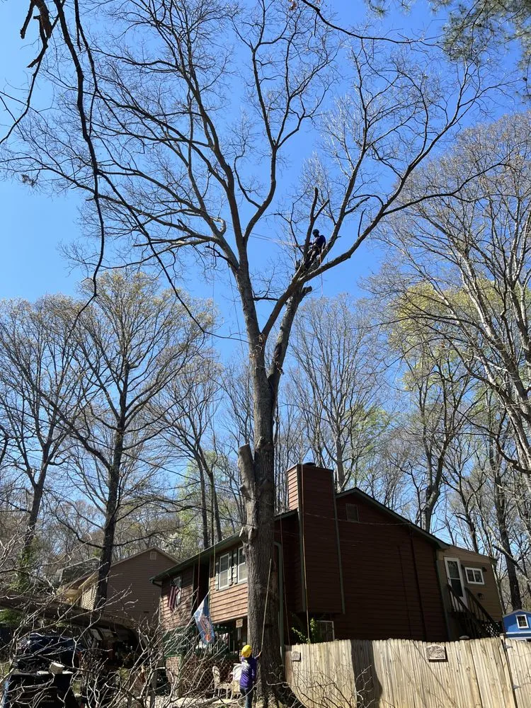 Trusted lawn mowing service for residential properties in Stockbridge, GA by Encinos Tree and Landscape