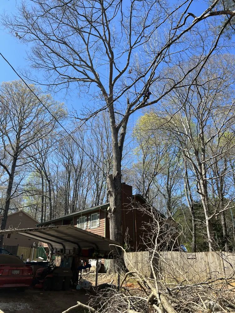 Affordable landscape design in Stockbridge, GA by Encinos Tree and Landscape