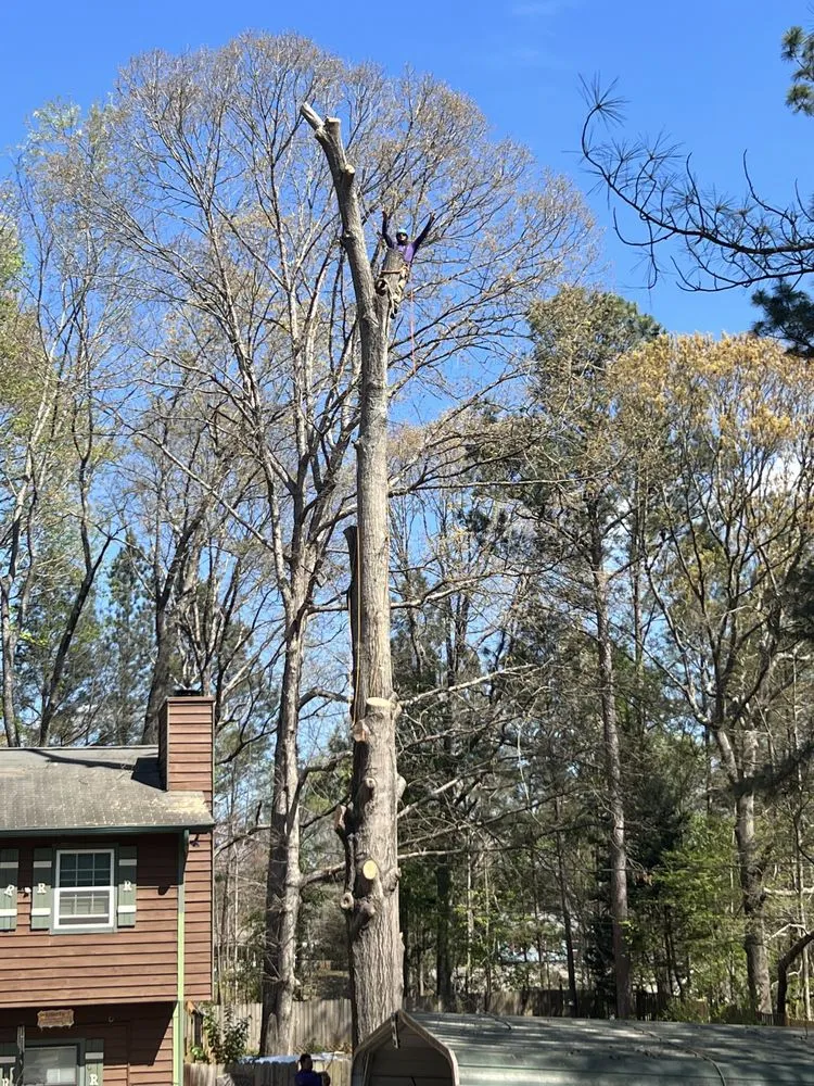 Custom landscape design in Stockbridge, GA by Encinos Tree and Landscape