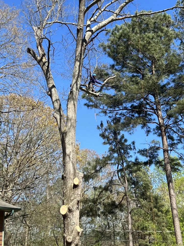 Affordable lawn mowing service for beautiful yards across Stockbridge, GA - Encinos Tree and Landscape