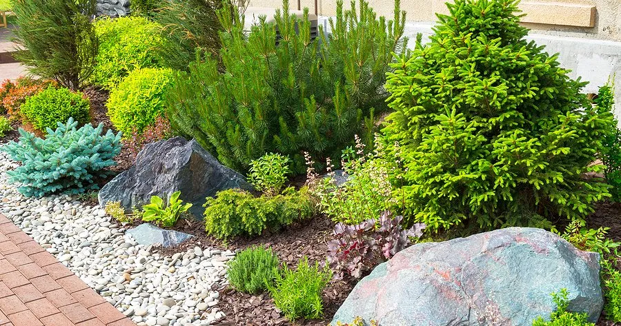 Top-rated outdoor landscaping in Dallas, TX by Enciso's Texas Landscaping