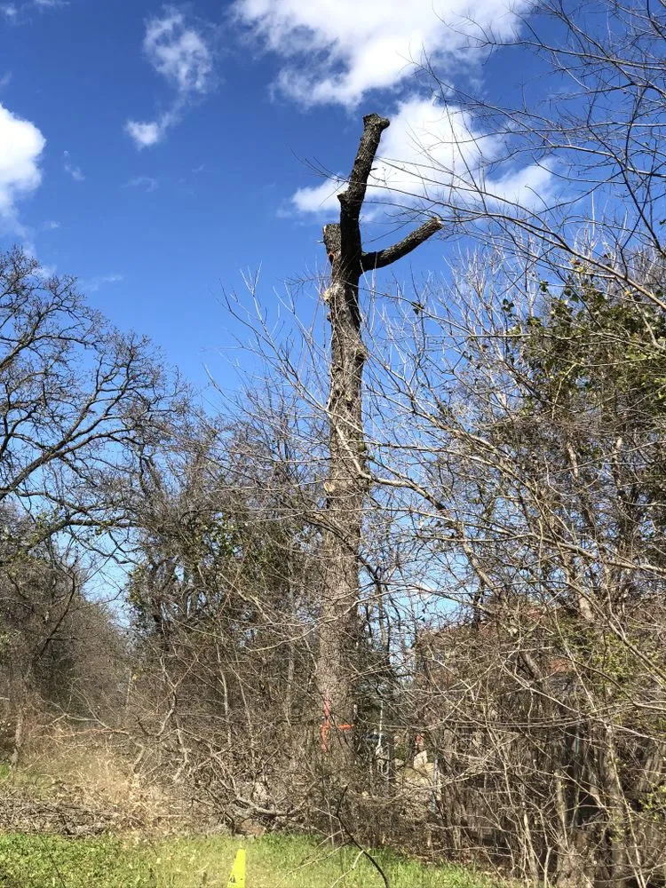 Expert landscape design in Piedmont, OK by Encompass Works