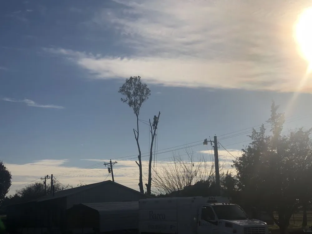 Professional yard cleanup service experts serving Piedmont, OK - Encompass Works