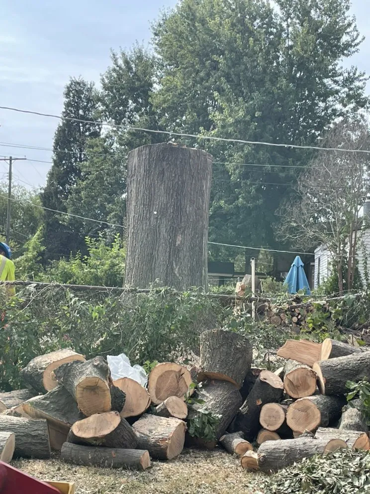 Expert landscaping services in Piedmont, OK by Encompass Works