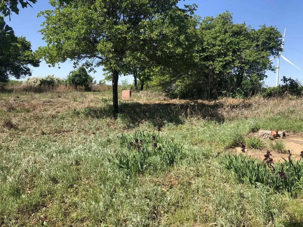 Expert landscape design in Piedmont, OK - Encompass Works