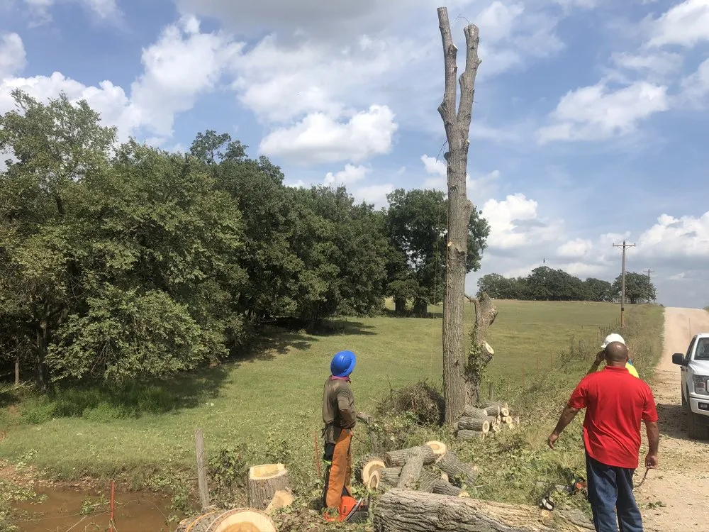 Affordable landscape installation experts serving Piedmont, OK - Encompass Works