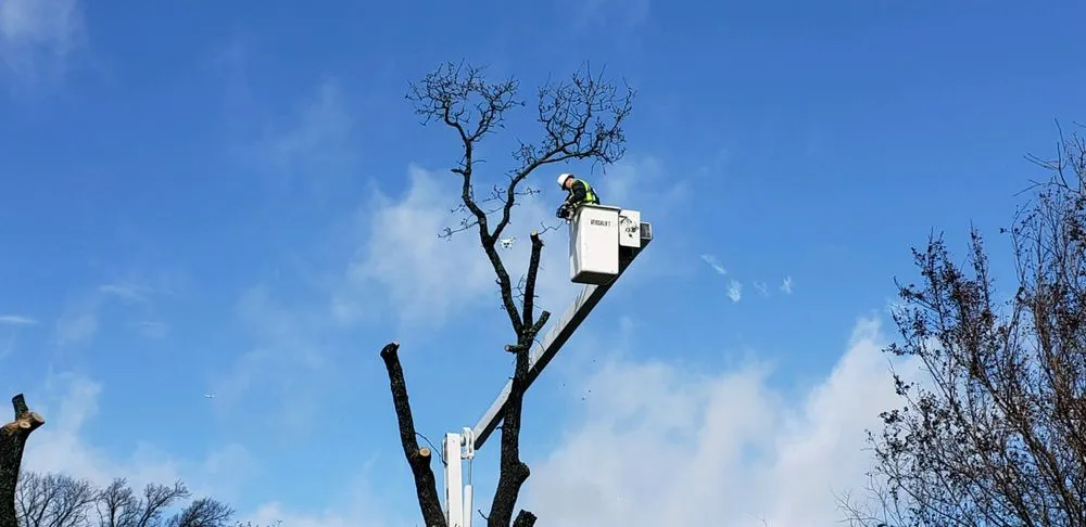 Top-rated yard cleanup service near you in Piedmont, OK by Encompass Works