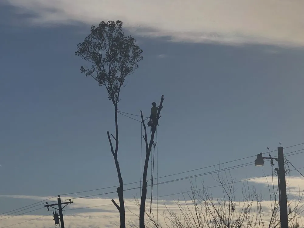 Trusted outdoor landscaping in Piedmont, OK - Encompass Works