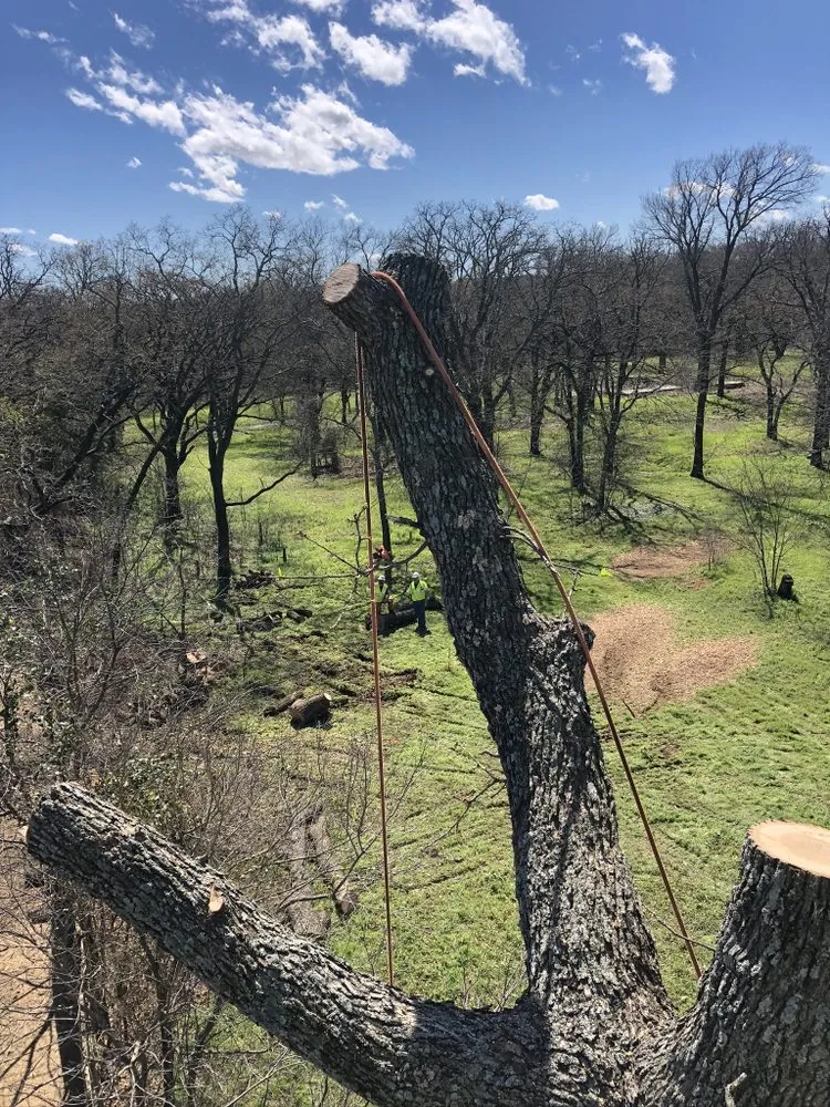 Custom garden landscaping in Piedmont, OK - Encompass Works