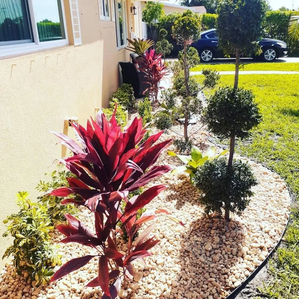 Professional landscape installation in Miami Gardens, FL by Encore Landscape Design & Maintenance