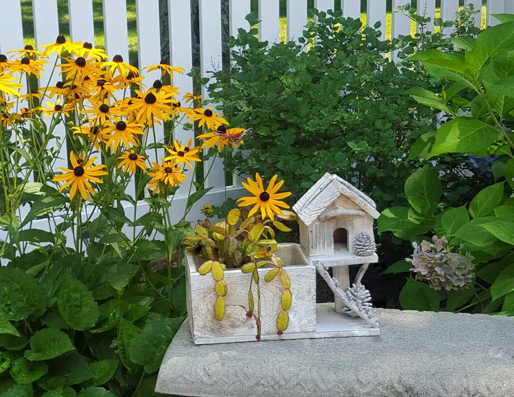 Custom yard maintenance experts serving Enfield, CT - Encore Landscaping