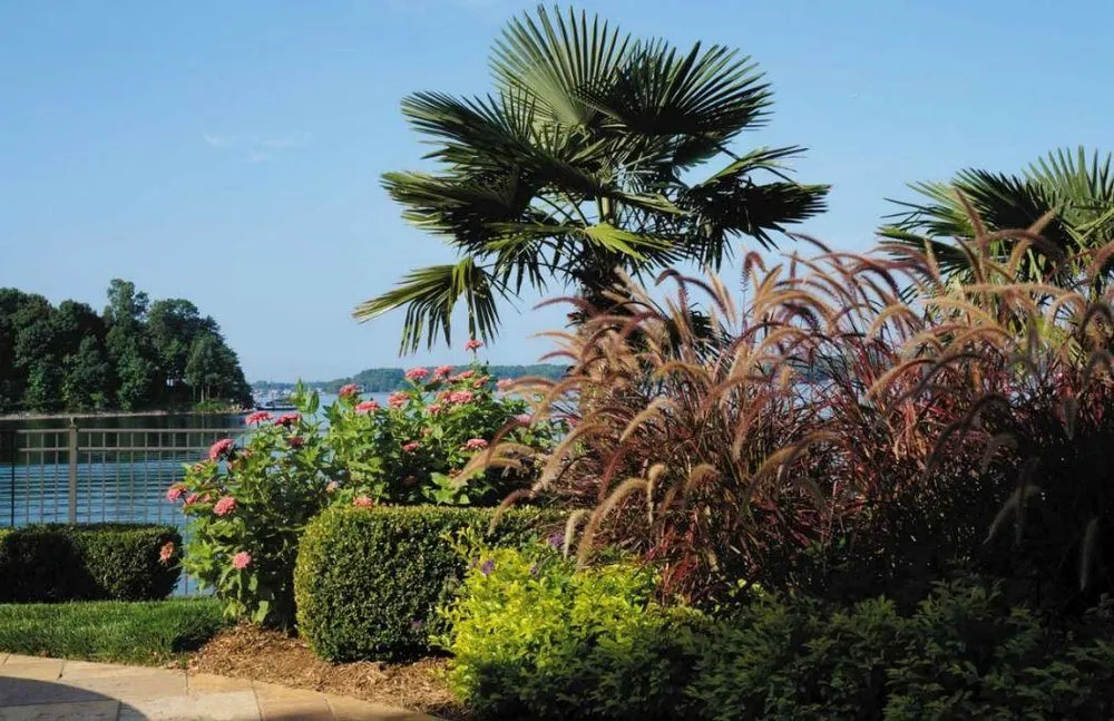 Trusted lawn care service experts serving Huntersville, NC - Encore Maintenance