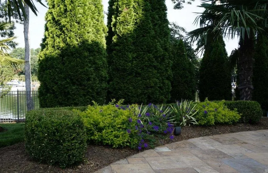 Top-rated lawn mowing service for year-round maintenance across Huntersville, NC - Encore Maintenance