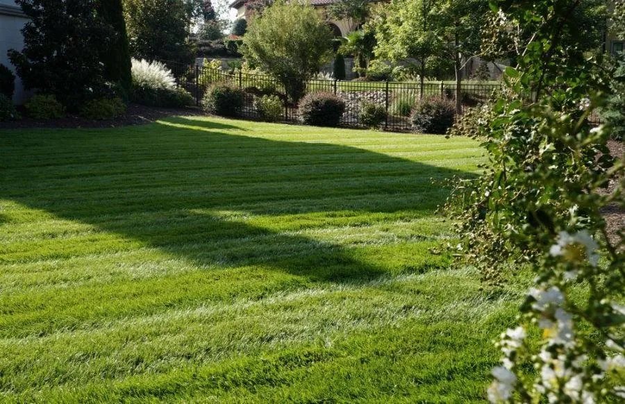 Professional landscape design for residential properties across Huntersville, NC - Encore Maintenance