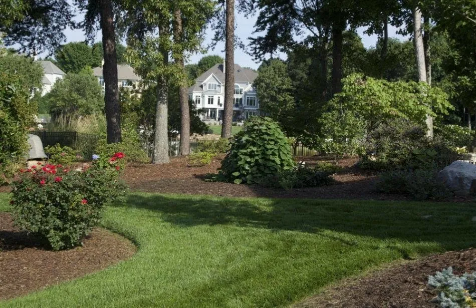 Reliable yard cleanup service in Huntersville, NC - Encore Maintenance