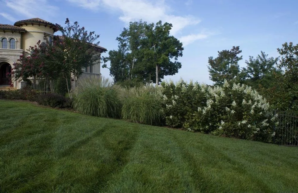 Reliable lawn mowing service for year-round maintenance in Huntersville, NC by Encore Maintenance