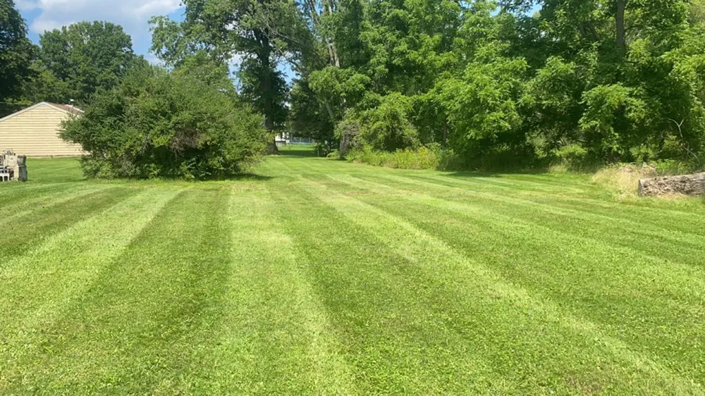 Top-rated yard maintenance experts serving Locke, NY - E.N.D Lawn Care