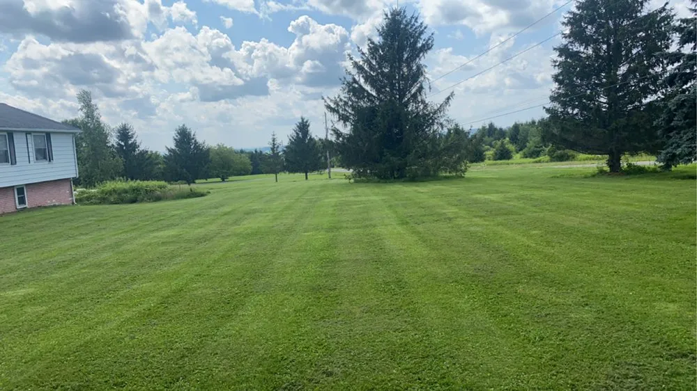 Local lawn care service experts serving Locke, NY - E.N.D Lawn Care