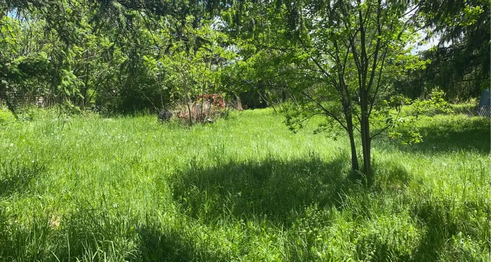 Custom lawn mowing service in Locke, NY - E.N.D Lawn Care