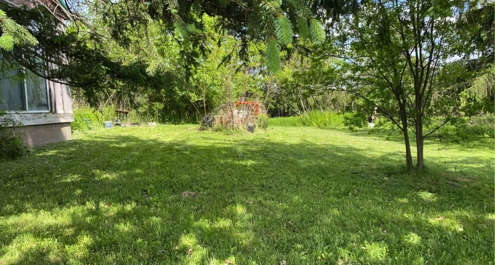 Professional lawn care service experts serving Locke, NY - E.N.D Lawn Care