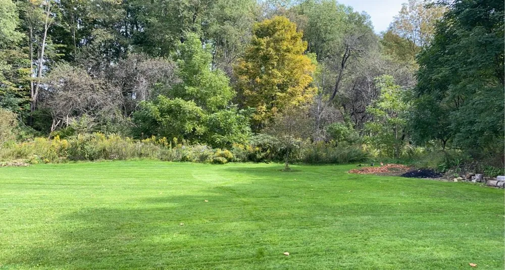 Affordable landscape design in Locke, NY - E.N.D Lawn Care