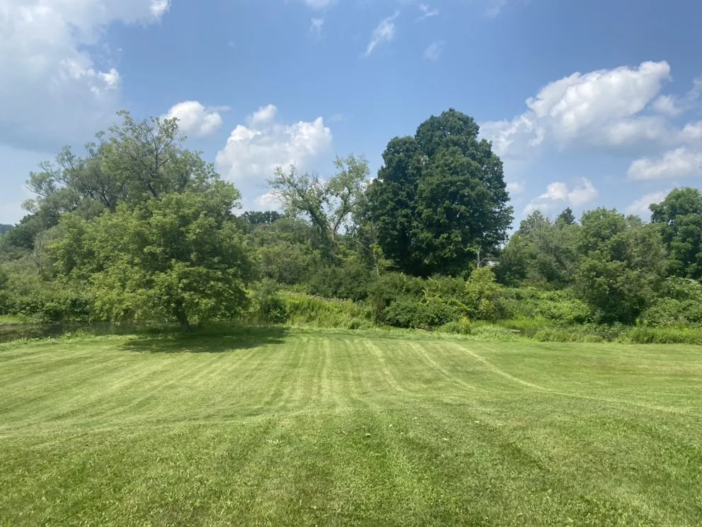 Affordable yard cleanup service with custom design in Locke, NY by E.N.D Lawn Care