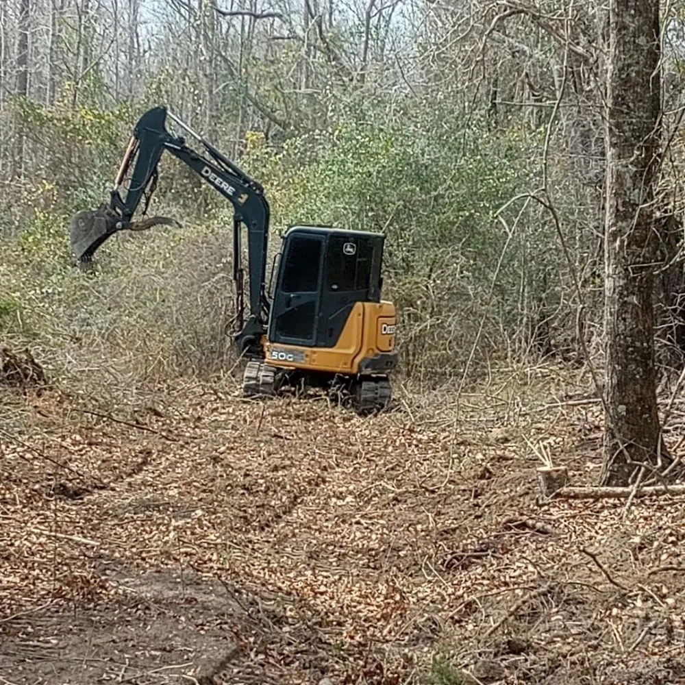 Expert lawn care service in Westville, FL - Endiidne Property Maintenance
