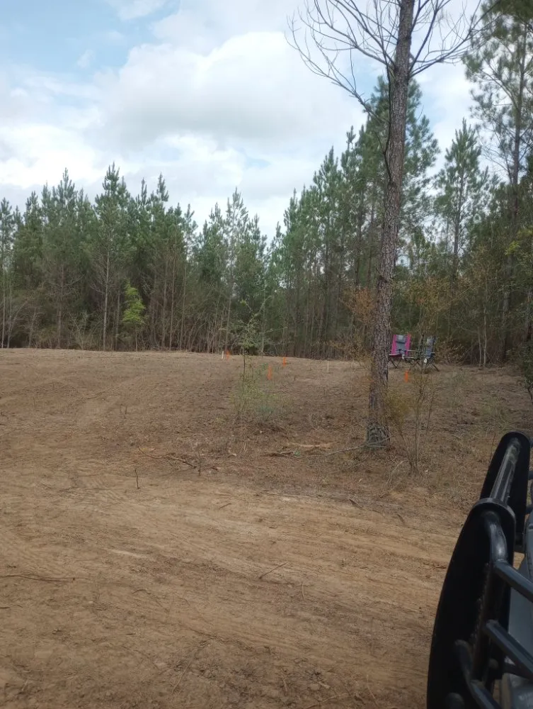 Professional outdoor landscaping near you across Westville, FL - Endiidne Property Maintenance
