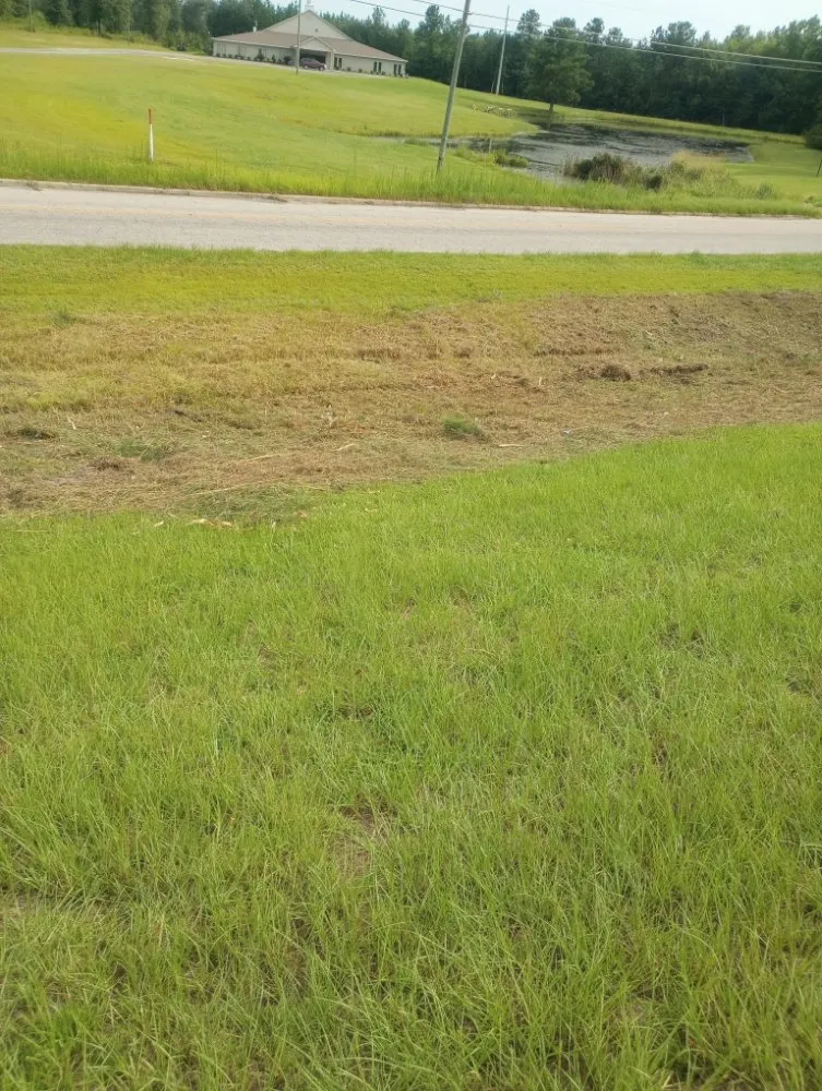 Trusted lawn care service for beautiful yards across Westville, FL - Endiidne Property Maintenance