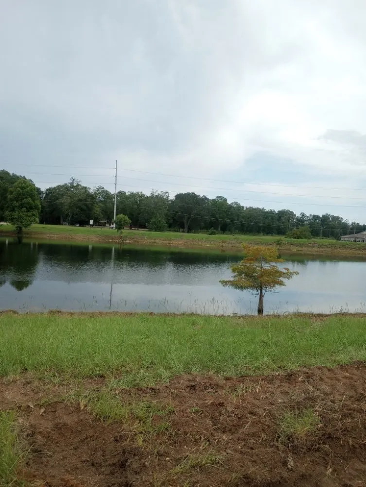 Professional yard cleanup service experts serving Westville, FL - Endiidne Property Maintenance