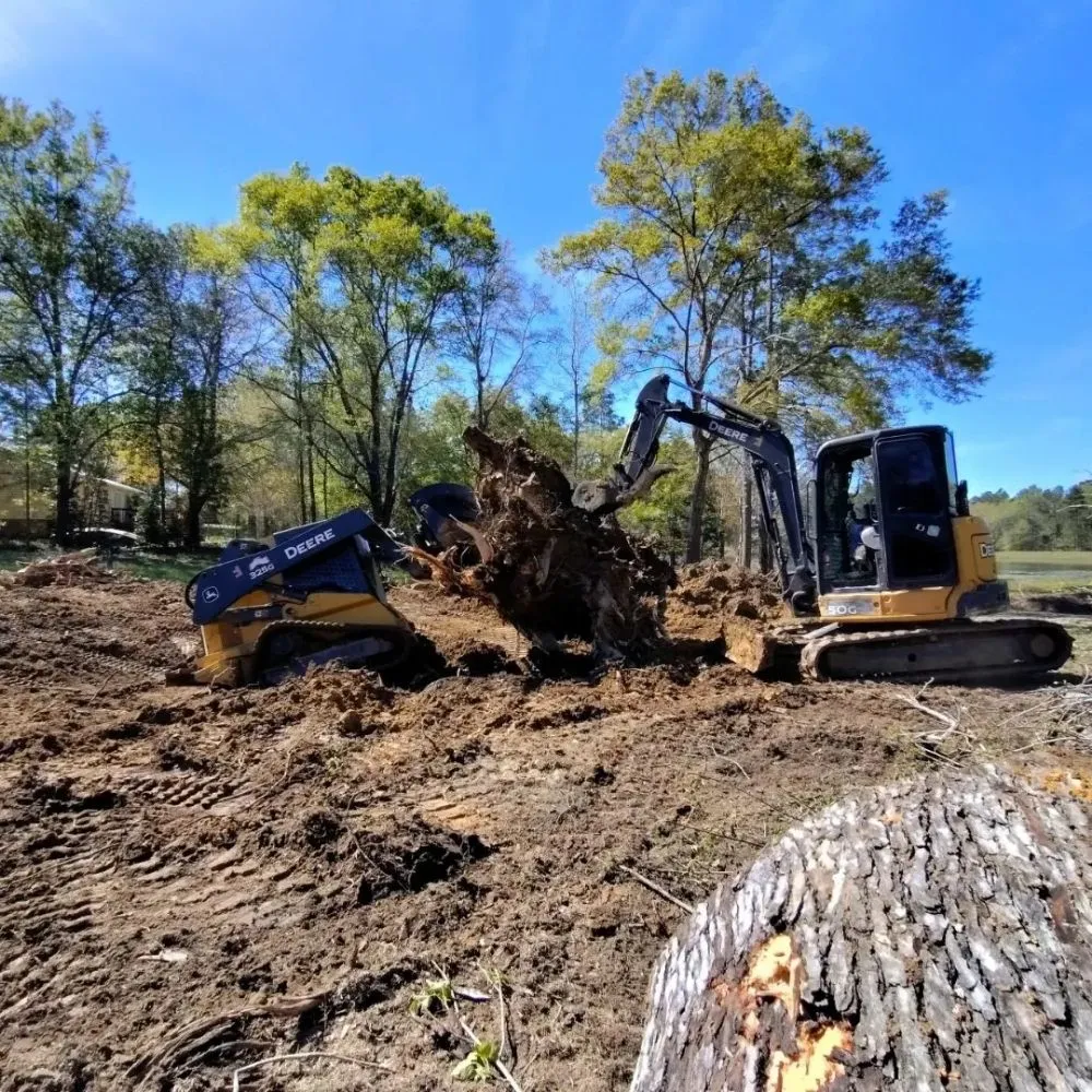 Custom landscape design experts serving Westville, FL - Endiidne Property Maintenance
