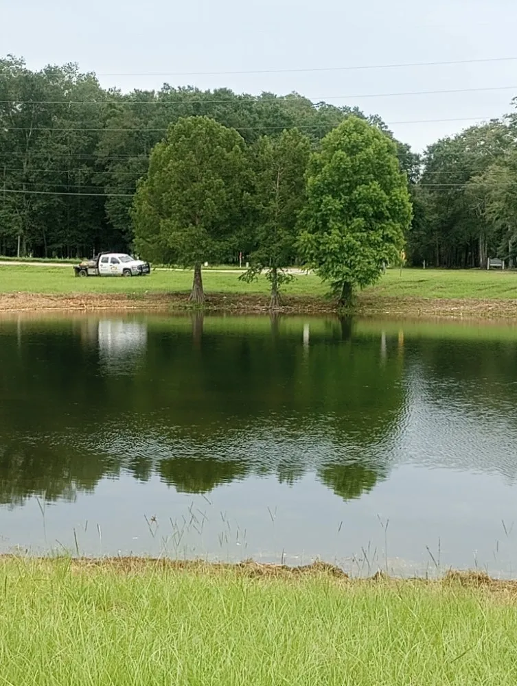 Affordable yard maintenance for year-round maintenance across Westville, FL - Endiidne Property Maintenance