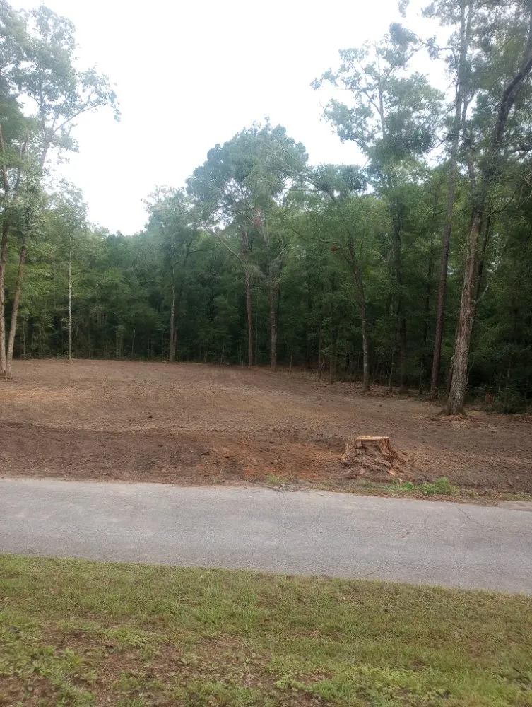 Professional landscape installation for outdoor upgrades in Westville, FL by Endiidne Property Maintenance