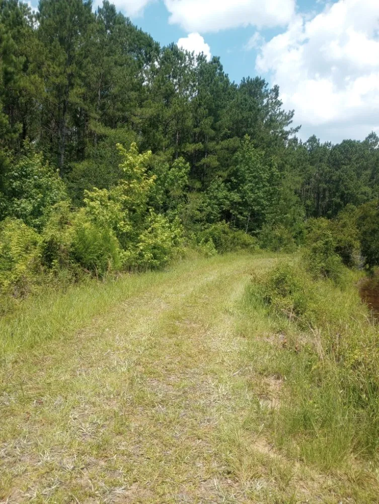 Expert landscape installation in Westville, FL by Endiidne Property Maintenance