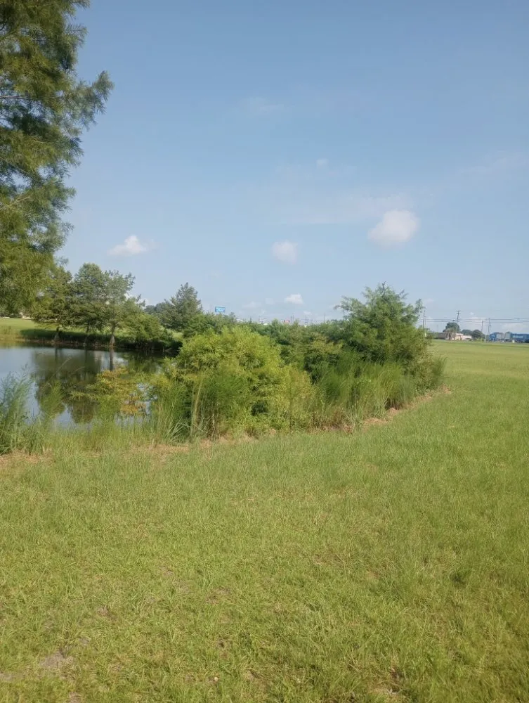 Local outdoor landscaping for outdoor upgrades across Westville, FL - Endiidne Property Maintenance