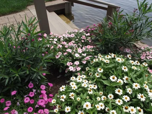 Endless Creations Landscaping Logo