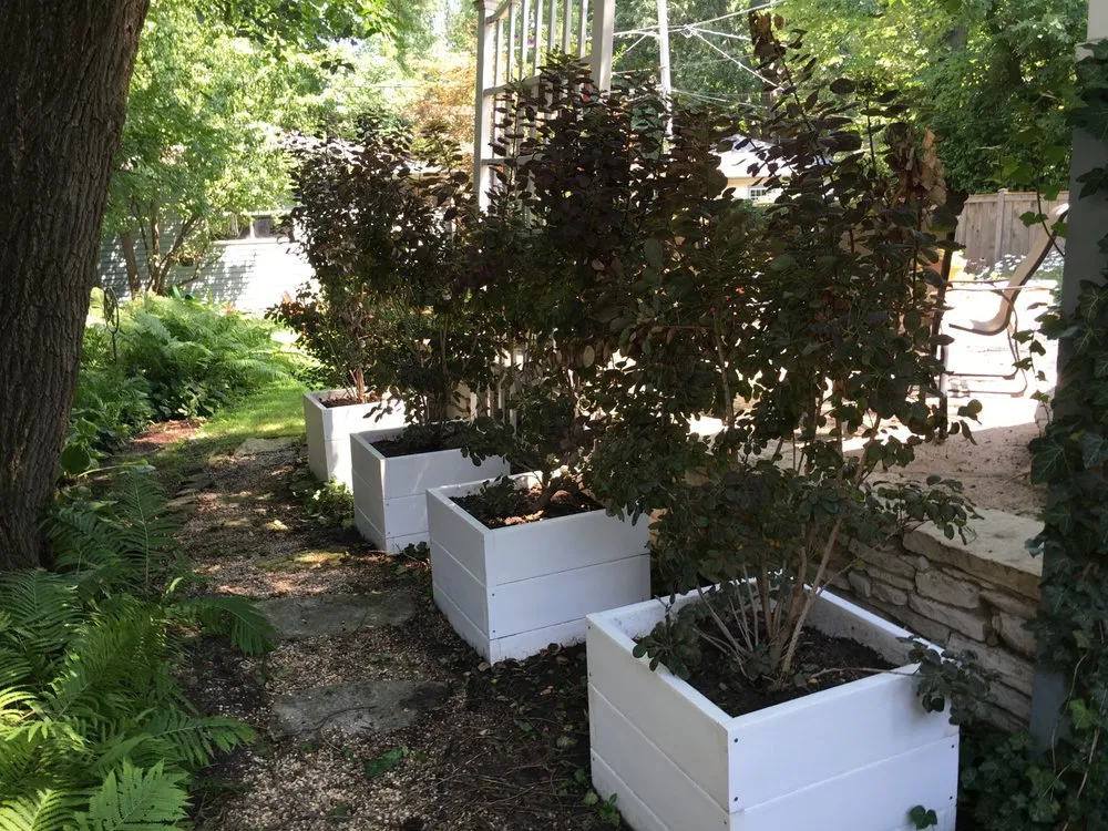 Expert landscape installation in Evanston, IL - Endless Greens