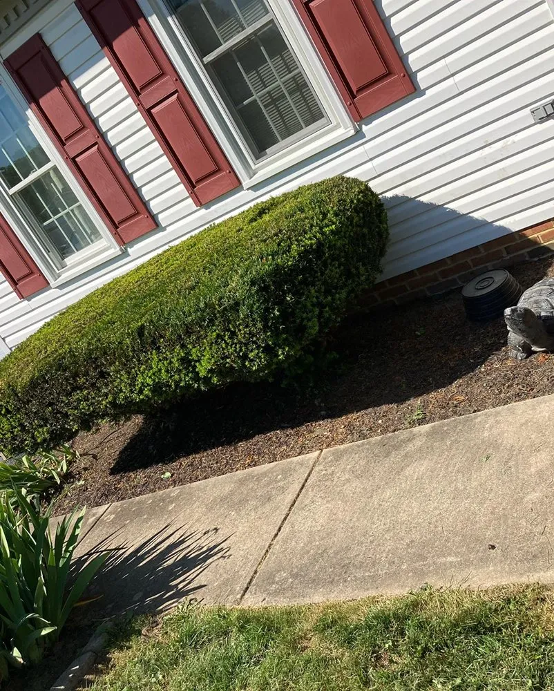 Expert lawn care service for beautiful yards in Willow Street, PA by Endless Solutions Landscaping