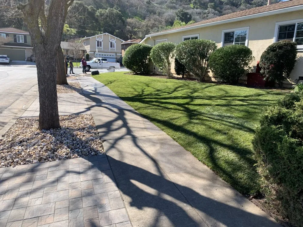 Expert residential landscaping for homes in Morgan Hill, CA by Endless Summer Landscape