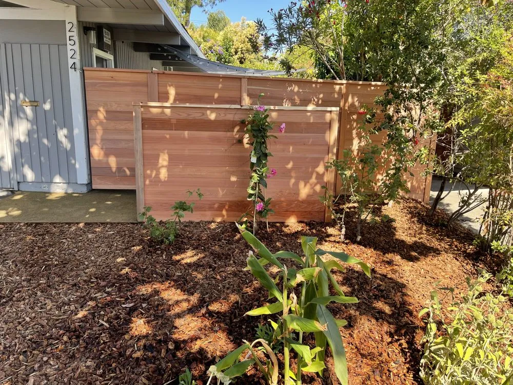 Professional yard cleanup service in Morgan Hill, CA by Endless Summer Landscape