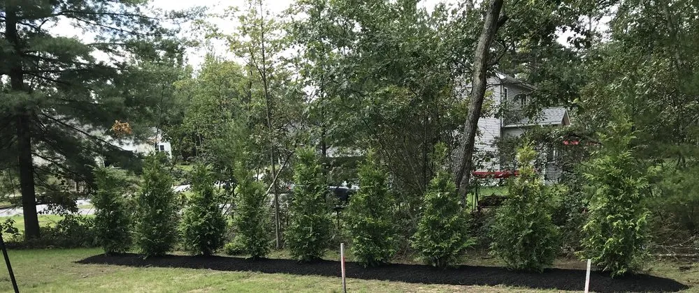 Local yard maintenance in Glens Falls, NY - Endless Summer Landscaping