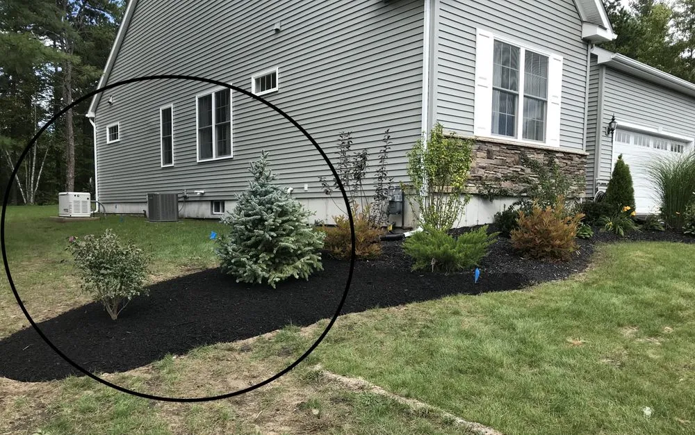 Custom yard maintenance for beautiful yards in Glens Falls, NY by Endless Summer Landscaping