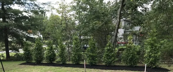 Endless Summer Landscaping