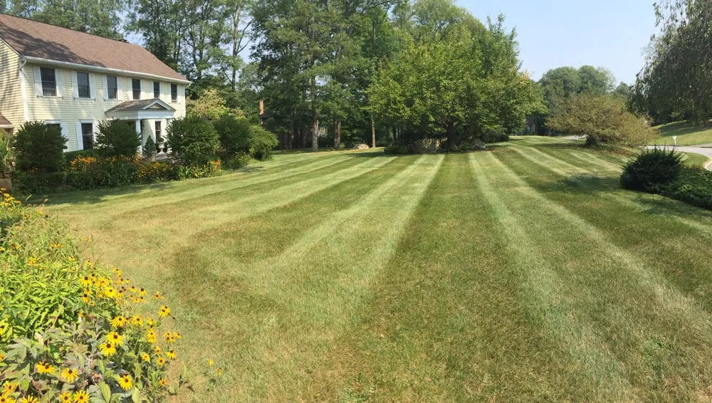 Affordable landscape design in Hamburg, NJ by Endless summer landscaping