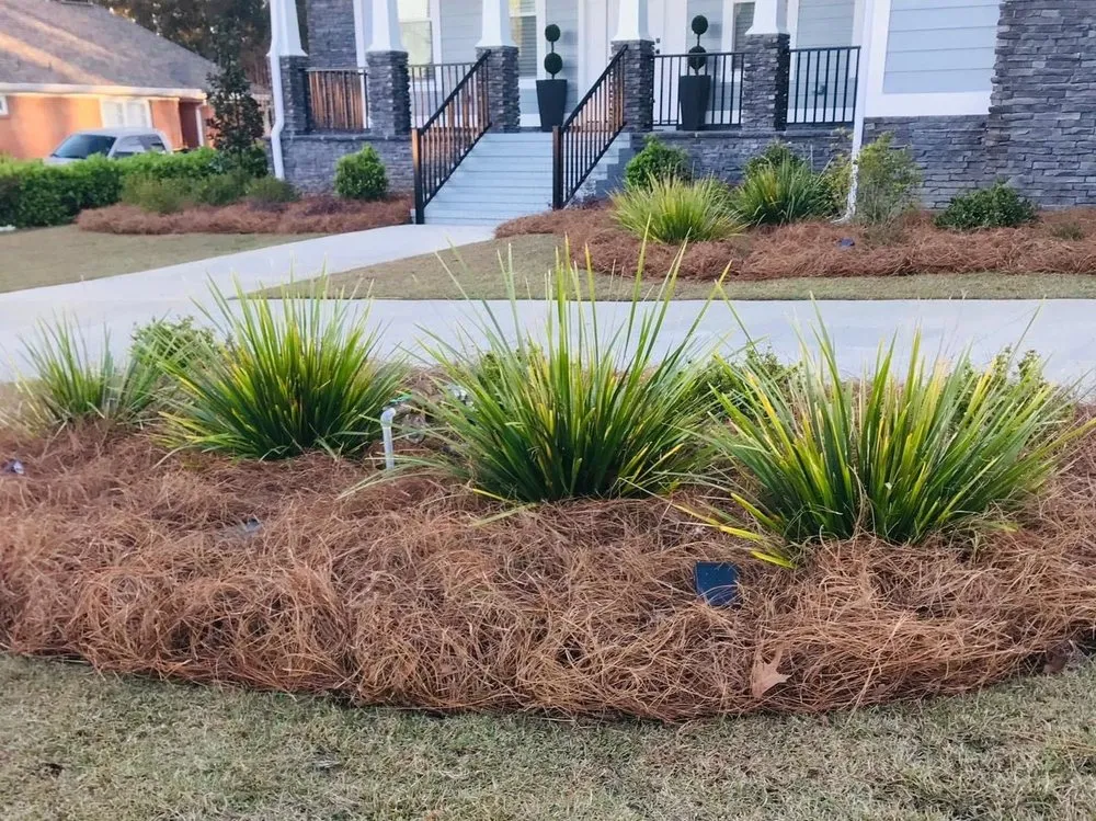 Affordable landscape installation in Tallahassee, FL by Endless Summer Lawn Care