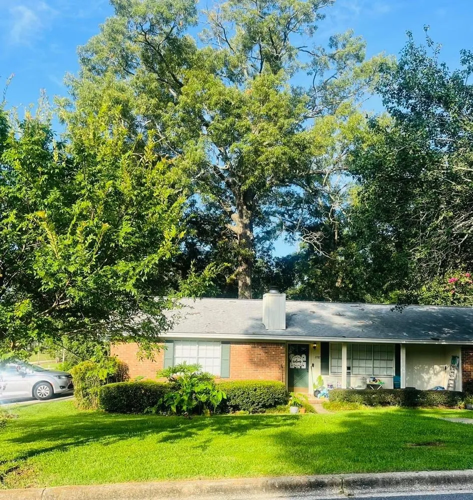 Professional yard maintenance for year-round maintenance across Tallahassee, FL - Endless Summer Lawn Care